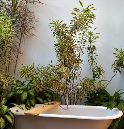 Ekologiczne SPA w domu – naturalne kosmetyki 2026, ceny, akcesoria